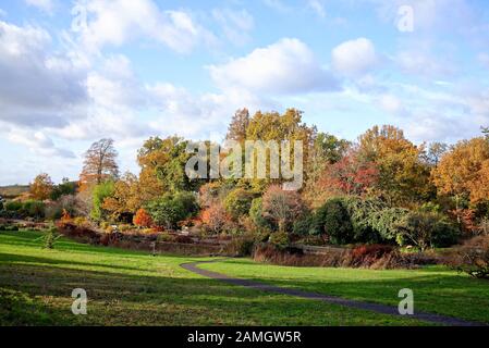 Les jardins de la Royal Horticultural Society dans des couleurs automnales à Wisley, Surrey Angleterre Royaume-Uni Banque D'Images