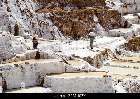 Salineras de Maras - Terrasses de sel près de Cusco, Pérou Banque D'Images