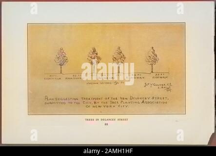 Illustration d'un plan de plantation d'arbres dans la rue Delancey, New York, publié par l'Association Des Plantations d'arbres de New York, 1905. De La Bibliothèque Publique De New York. Remarque : l'image a été colorisée numériquement à l'aide d'un processus moderne. Les couleurs peuvent ne pas être précises sur une période donnée. () Banque D'Images