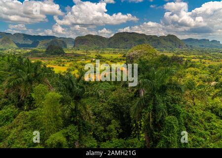 Vallée de Vinales site touristique populaire dans la province de Pinar del Rio, Cuba Banque D'Images