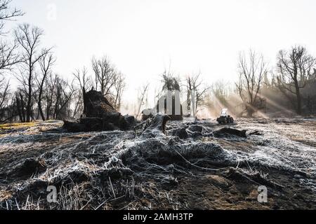 Dans les bois, hiver gel partout dans cet endroit de rêve Banque D'Images