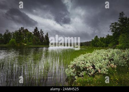 Tempête et pluie le long de Peer Gynt Vegen, en Norvège occidentale, près de Gala Banque D'Images