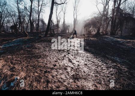 Dans les bois, hiver gel partout dans cet endroit de rêve Banque D'Images