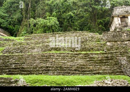 Ruines dans la jungle de Palenque, une ancienne ville maya au Mexique Banque D'Images