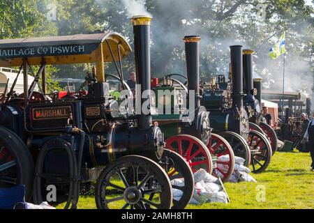 Une rangée de fumeurs au 2019 moteurs de traction à vapeur de Shrewsbury, Shropshire, Angleterre Rallye, UK Banque D'Images