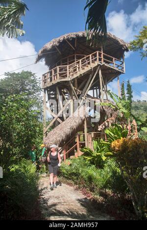 Tour De Tyrolienne, Parc La Hacienda, Punta Cana, République Dominicaine Banque D'Images