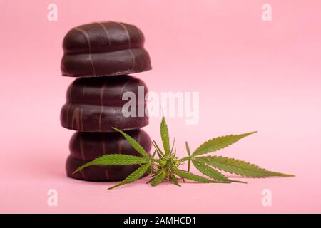 Cookie au chocolat avec extrait de THC et CBD sur fond rose, bonbons de beauté à la marijuana. Banque D'Images