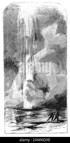 Steamboat Geyser, dans le bassin Norris Geyser du parc national de Yellowstone, à Wyomimg est le geyser le plus élevé au monde actuellement actif. Steamboat Geyser a deux évents, et l'évent nord est responsable des colonnes d'eau les plus hautes. Les principales éruptions de Steamboat durent généralement de 3 à 40 minutes et sont suivies de puissants jets de vapeur. Au cours de ces éruptions, l'eau peut être projetée à plus de 91 m dans l'air. Après une éruption, le geyser évacue souvent de grandes quantités de vapeur jusqu'à 48 heures. Banque D'Images