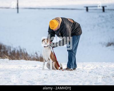 L'homme s'arrête pour ajuster le collier de chien lors d'une promenade avec son chien le jour froid de neige Banque D'Images