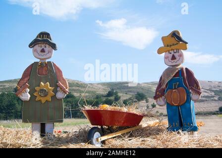 Table D'Affichage Des Citrouilles Banque D'Images