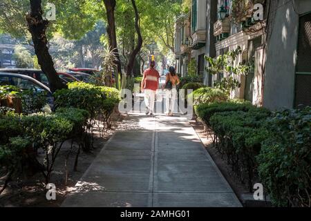 Scène De Rue, La Condesa. Banque D'Images
