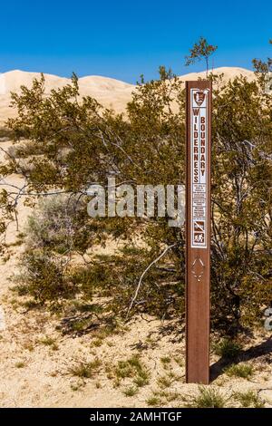 Service de parc national signe indiquant la limite sauvage aux dunes de Kelso Sand dans la réserve nationale de Mojave, Californie, États-Unis Banque D'Images