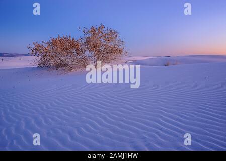 Crépuscule sur les dunes au parc national de White Sands, Nouveau-Mexique. Banque D'Images