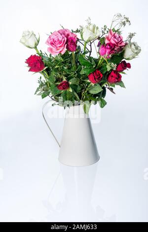 De belles roses blanches, rouges et roses avec des feuilles vertes dans un arrosoir beige vintage ou rétro peuvent se refléter sur la surface blanche. Mariage, décoration d'événement Banque D'Images