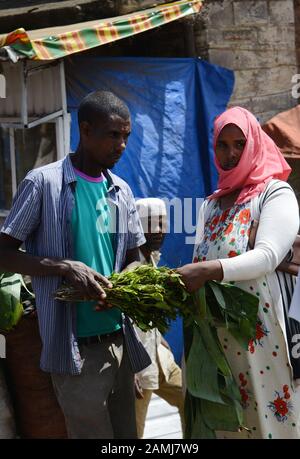 Marché de khat dans Woliso, Éthiopie. Banque D'Images