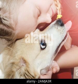 Une petite fille épouse son chien préféré. Square close-up Banque D'Images