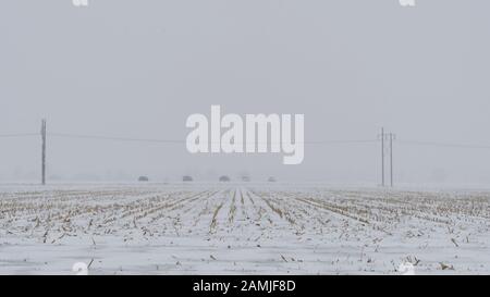 Les voitures qui conduisent sur la route rurale dans l'est de l'Ontario pendant la tempête de neige en hiver Banque D'Images
