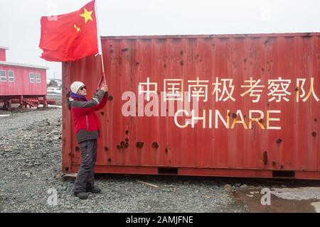 Grande Station Murale, Chinare, Îles Shetland Du Sud, Antarctique Banque D'Images