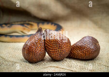 Fruit de serpent, techniquement connu sous le nom de fruit de salak ou salaca zalacca sur un fond de tissu de sackwCloth Banque D'Images