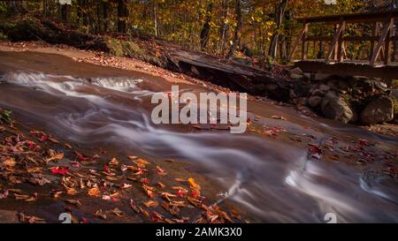 Feuilles tombées le long du lit en cours d'eau au Mont Tremblant Canada Banque D'Images