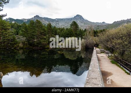Vue pittoresque sur le barrage de montagne et la forêt de pins pendant une journée malteuse. Navacerrada, Madrid Banque D'Images