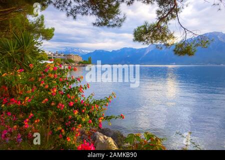 Vue panoramique sur le lac Léman, Suisse depuis la promenade de Montreux avec des fleurs colorées Banque D'Images