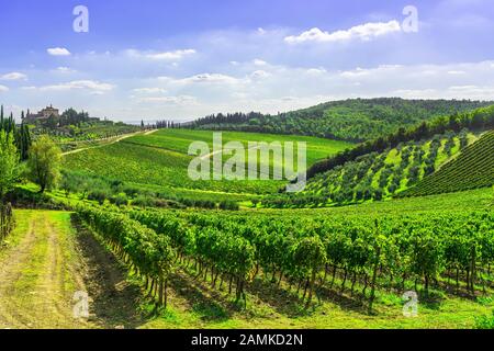 Radda in Chianti vignoble et panorama au coucher du soleil en automne. Toscane, Italie l'Europe. Banque D'Images