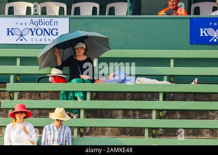 14 janvier 2020: Melbourne, AUSTRALIE - 14 JANVIER 2020: Les punteurs reposent de la chaleur à l'AgBioEn Kooyong Classic le jour 1 à Melbourne Australie crédit: Chris Putnam/ZUMA Wire/Alay Live News Banque D'Images