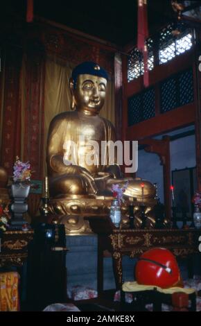 Statue de Bouddha de Goldene mit Autel im Konfuzius-Tempel à Nanjing, Chine 1980er Jahre. Statue et autel du Bouddha d'or au temple Kung Fu Tse de Nanjing, Chine, années 1980. Banque D'Images