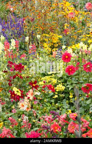 Légende 150/150 bordure de fleur De Fin d'été avec Rudbeckia 'Priairie Glow', série Antirrhinum 'Coronette', Agastache Blackadder et dahlias. ROYAUME-UNI Banque D'Images