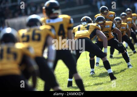 Les Cowboys de Munich (en noir et jaune) à leur domicile dans la Ligue allemande de football contre les Schwäbisch Hall Unicorns au stade Dante de Munich. Sur la photo les cowboys à la ligne. [traduction automatique] Banque D'Images