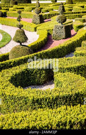Un parterre dans un jardin à la française avec des arbustes et des haies basses de buis taillés dans des formes géométriques. Banque D'Images