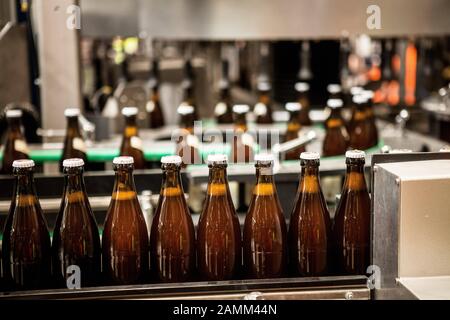 Paulaner commande cérémonieusement la première ligne d'embouteillage dans la nouvelle brasserie de Langwied. L'image montre des bouteilles de bière sur la chaîne de montage dans le hall d'embouteillage. [traduction automatique] Banque D'Images