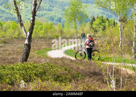 Vélo de montagne sur le sentier de randonnée dans le Kendlmühlfilzen près de Rottau (Markt Grassau) [traduction automatique] Banque D'Images