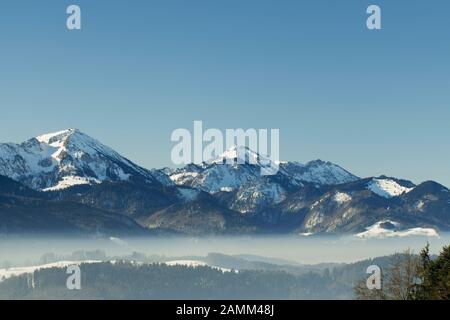 Hiver - Atmosphère avec les montagnes de Chiemgau dans la région de Hochberg - Siegsdorf, Comté de Traunstein, Chiemgau, Haute-Bavière, Bavière, Allemagne [traduction automatique] Banque D'Images