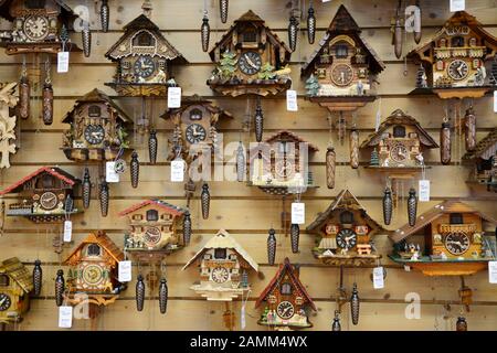 Les horloges des couckoo de la Forêt noire pendent dans le parc de l'horloge Elble à Triberg. [traduction automatique] Banque D'Images