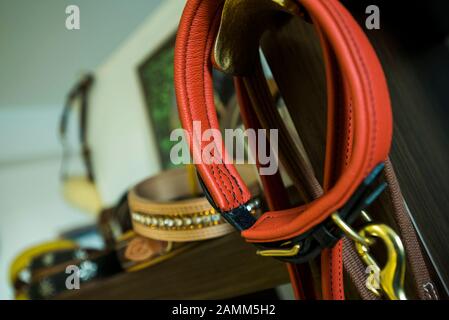 Colliers de chien dans l'atelier de sellerie de Beate Bader à Aschheim près de Munich. [traduction automatique] Banque D'Images