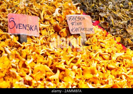 Marché alimentaire de chanterelles fraîches à Stockholm. Banque D'Images