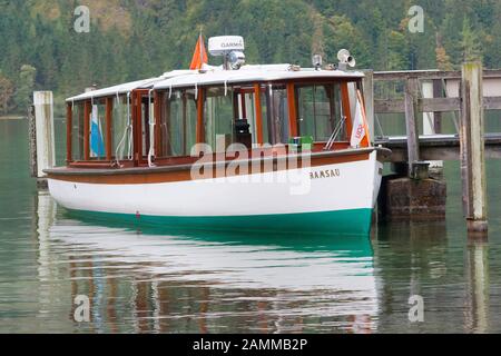 Au Almabtrieb du Saletalm au-dessus de la Königssee au Seelände et à la maison de l'écurie locale dans le Schönau, Berchtesgadener Land, Haute-Bavière, Allemagne [traduction automatique] Banque D'Images