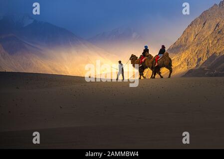 Les touristes font le safari à dos de chameau dans la vallée de Nubra à Leh Ladakh, en Inde Banque D'Images