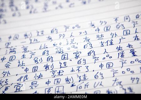 Personnages chinois sur le plateau d'un étudiant à la St. Anna-Gymnasium de Munich. Pour la première fois en Bavière, l'école propose un examen écrit d'Abitur en chinois. [traduction automatique] Banque D'Images