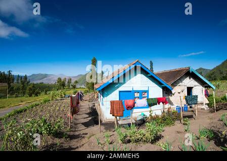 Village de Mont Bromo dans Parc National de Bromo Tengger Semeru, l'Est de Java, Indonésie. Banque D'Images