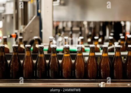 Paulaner commande cérémonieusement la première ligne d'embouteillage dans la nouvelle brasserie de Langwied. L'image montre des bouteilles de bière sur la chaîne de montage dans le hall d'embouteillage. [traduction automatique] Banque D'Images