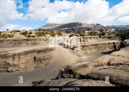 Le Mont Bromo volcans au Parc National de Bromo Tengger Semeru, l'Est de Java, Indonésie. Banque D'Images