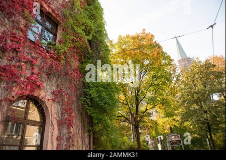 Impressions De Munich-Haidhausen. Le district appartient à la circonscription de Munich-Mitte, dans laquelle les Verts ont remporté 42,5 pour cent des voix lors de la dernière élection d'État. Feuillage rouge et vert sur la façade d'une maison sur Johannisplatz, en arrière-plan, on peut voir la tour de St. Johann Baptist. [traduction automatique] Banque D'Images