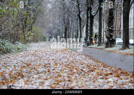 Première chute de neige en novembre à Glockenbachviertel de Munich. La photo montre le chemin du pied et du vélo à Witelsbacherstraße. [traduction automatique] Banque D'Images