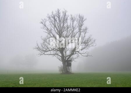 Paysage de brouillard d'automne dans le Ramsau entre Teisendorf et Colère, Rupertiwinkel, Berchtesgadener Land, Bavière Jägerhochstand à un chêne [traduction automatique] Banque D'Images