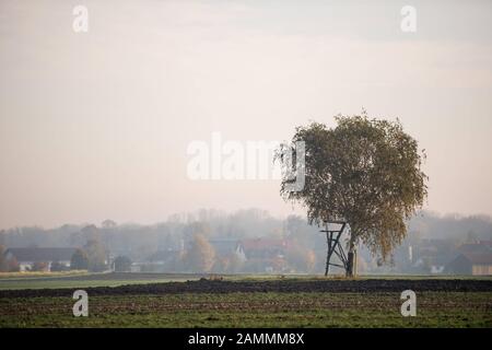 Paysage au soleil et brouillard lors d'une journée d'automne près de Freising. Au premier plan un arbre avec le stand d'un chasseur. [traduction automatique] Banque D'Images