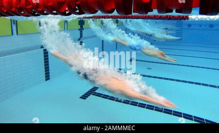 Les nageurs au début sautent pendant le festival de natation « Head-Trophy » dans la salle de natation olympique de Munich. Lors de l'un des plus grands événements de natation en Europe, les jeunes athlètes peuvent rivaliser avec les meilleurs dans leur domaine. [traduction automatique] Banque D'Images