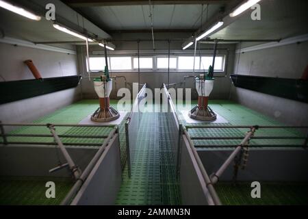 Enseignement et matériel expérimental sur le campus de la Faculté de médecine vétérinaire de l'Université Ludwig Maximilian (LMU) à St Hubertusstraße 12 à Oberschleißheim. [traduction automatique] Banque D'Images